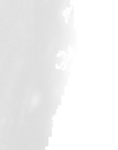 DickNiklasBW03